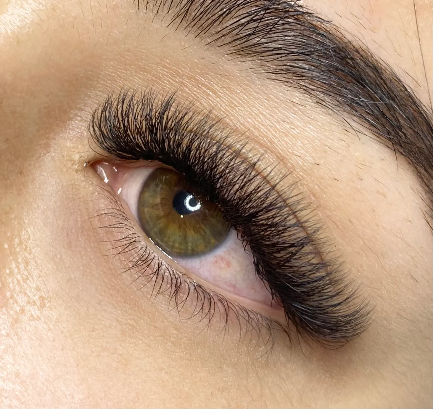 Glam 6D Volume Eyelash Extensions