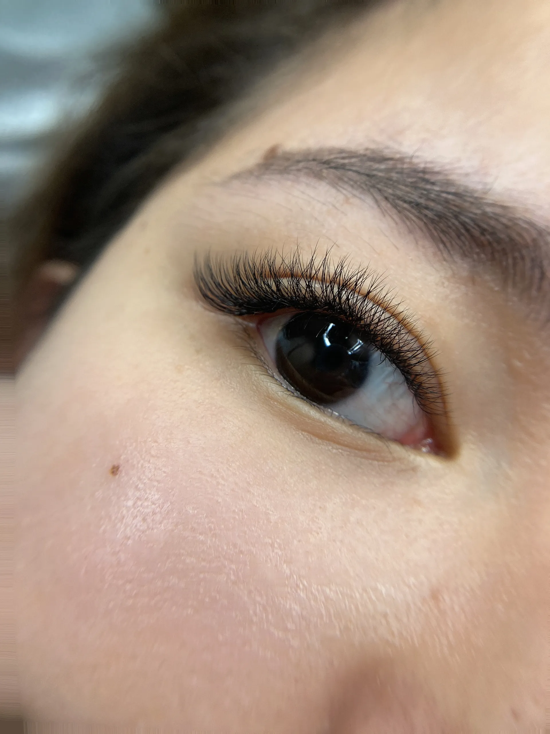 Light Volume 4D Eyelash Extensions